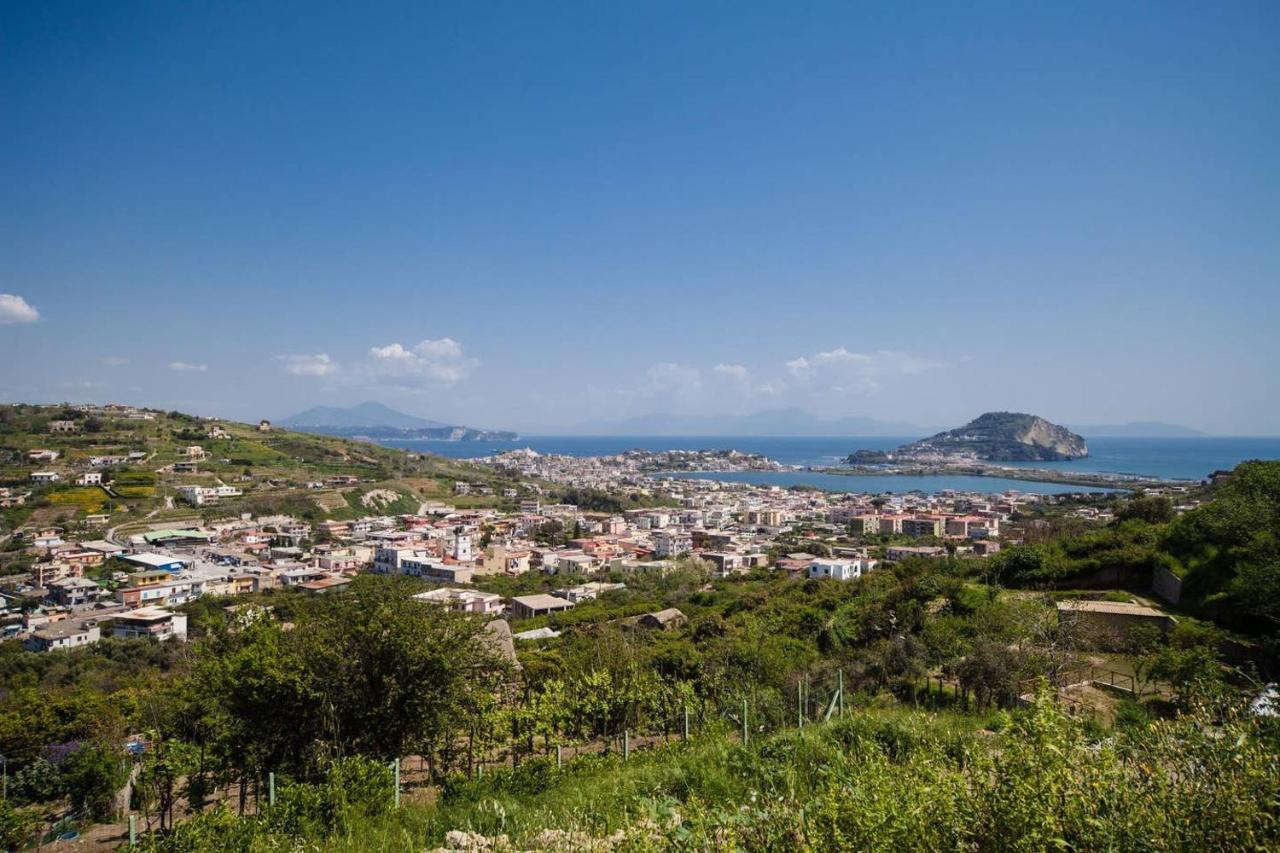 Villa Lamberti Monte di Procida Extérieur photo